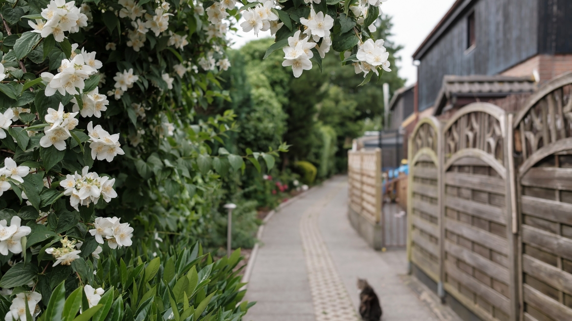 Garden Landscaping